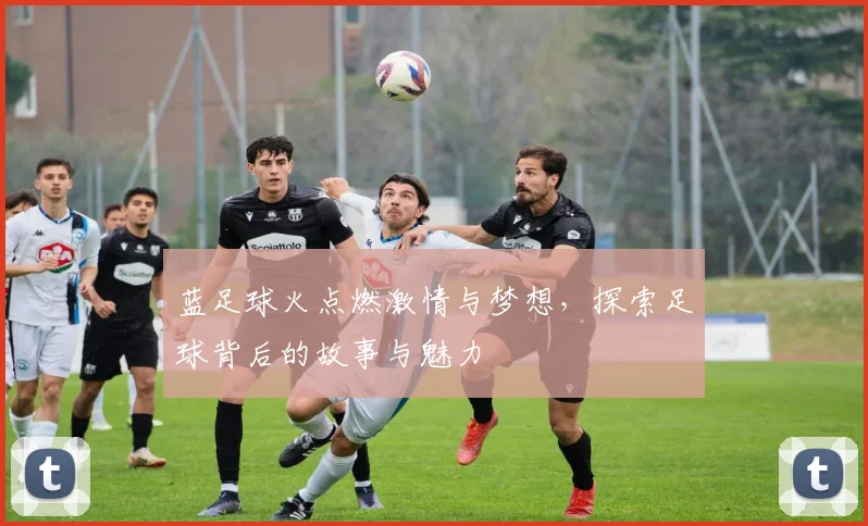 蓝足球火点燃激情与梦想，探索足球背后的故事与魅力