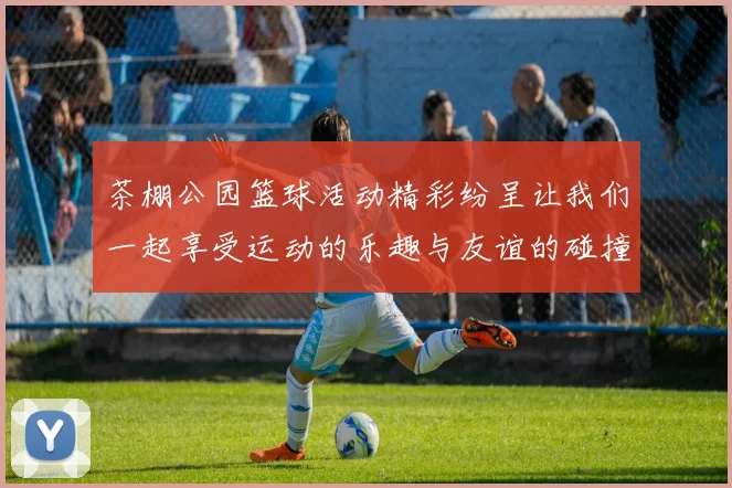 茶棚公园篮球活动精彩纷呈让我们一起享受运动的乐趣与友谊的碰撞