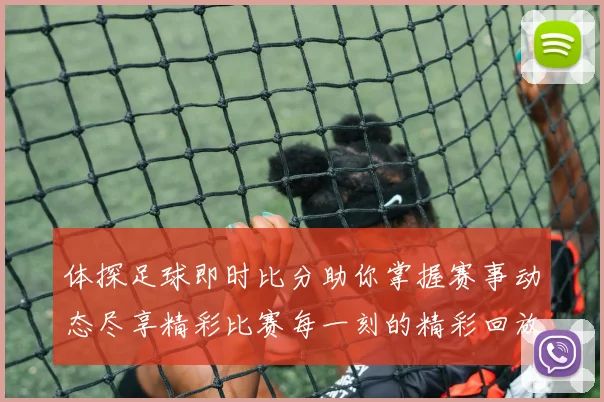 体探足球即时比分助你掌握赛事动态尽享精彩比赛每一刻的精彩回放
