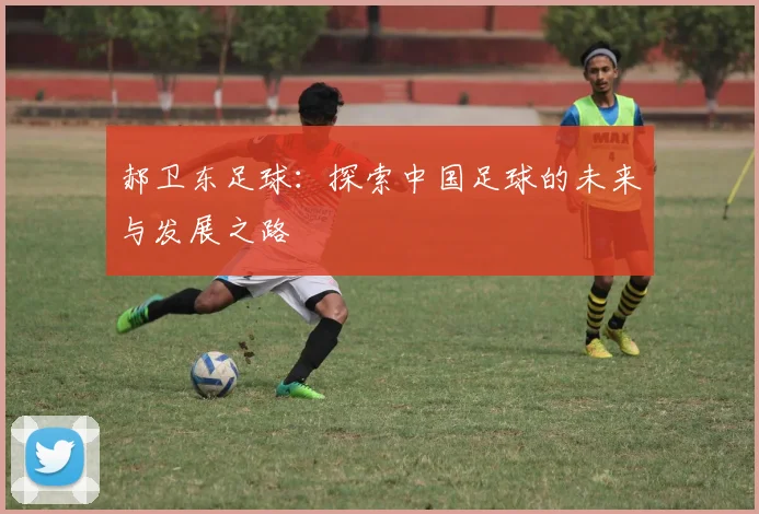 郝卫东足球：探索中国足球的未来与发展之路